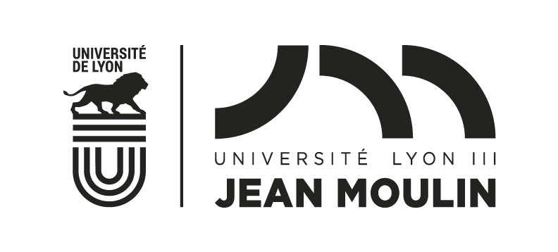 tresor pirate team building cohesion equipe universite jean moulin - 1